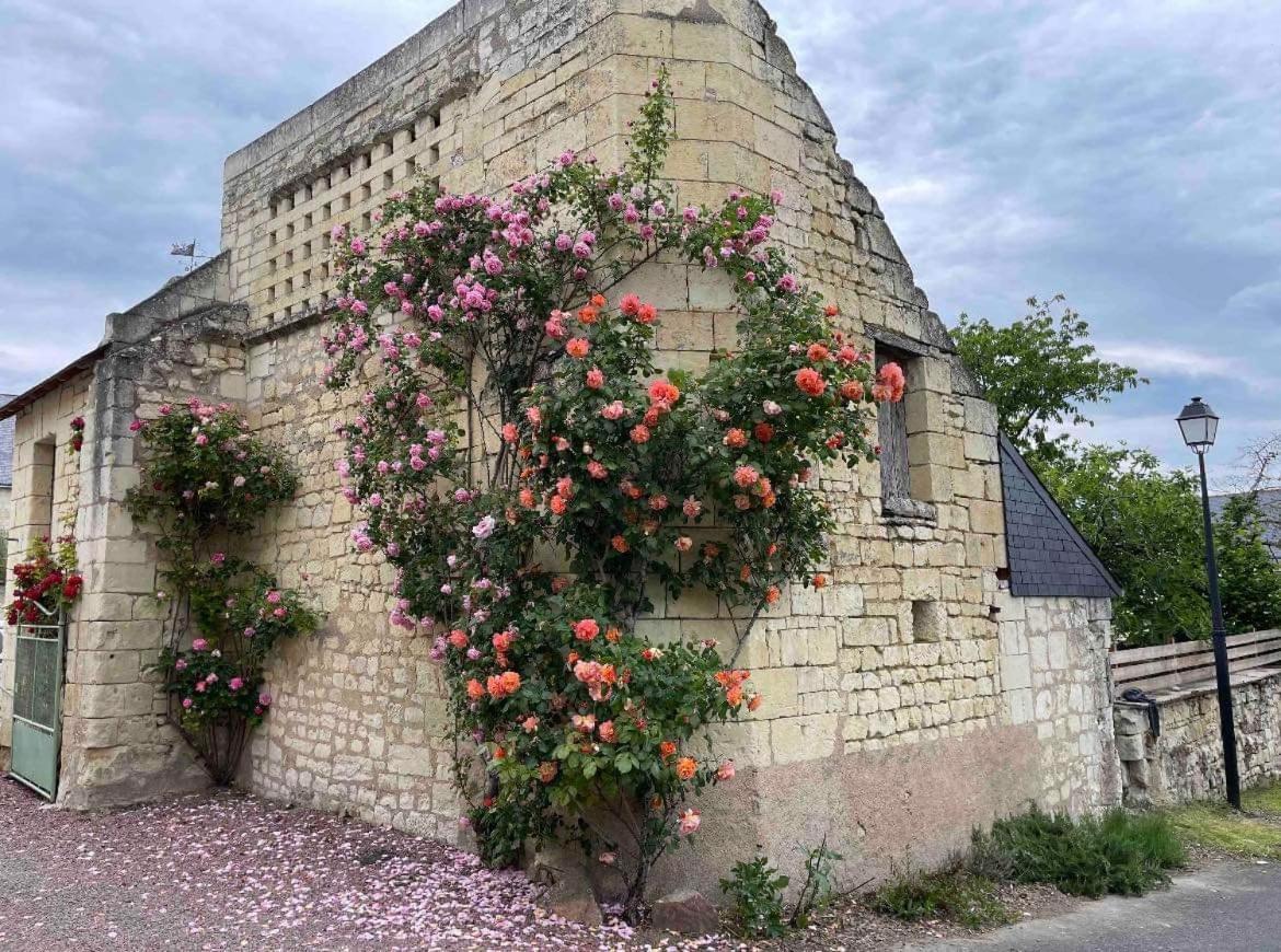Le Colombier Apartman Le Coudray-Macouard Kültér fotó